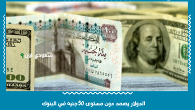 الدولار يصمد دون مستوى 50 جنيه في البنوك